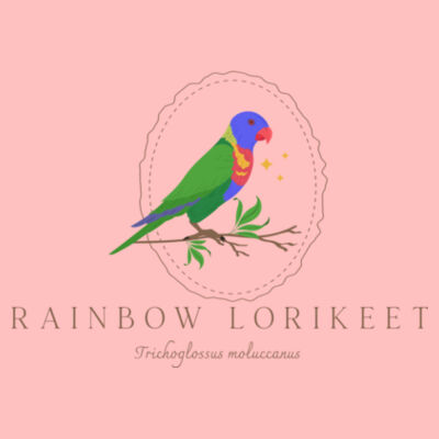 Womens Tee Rainbow Lorikeet with Scientific Name Design